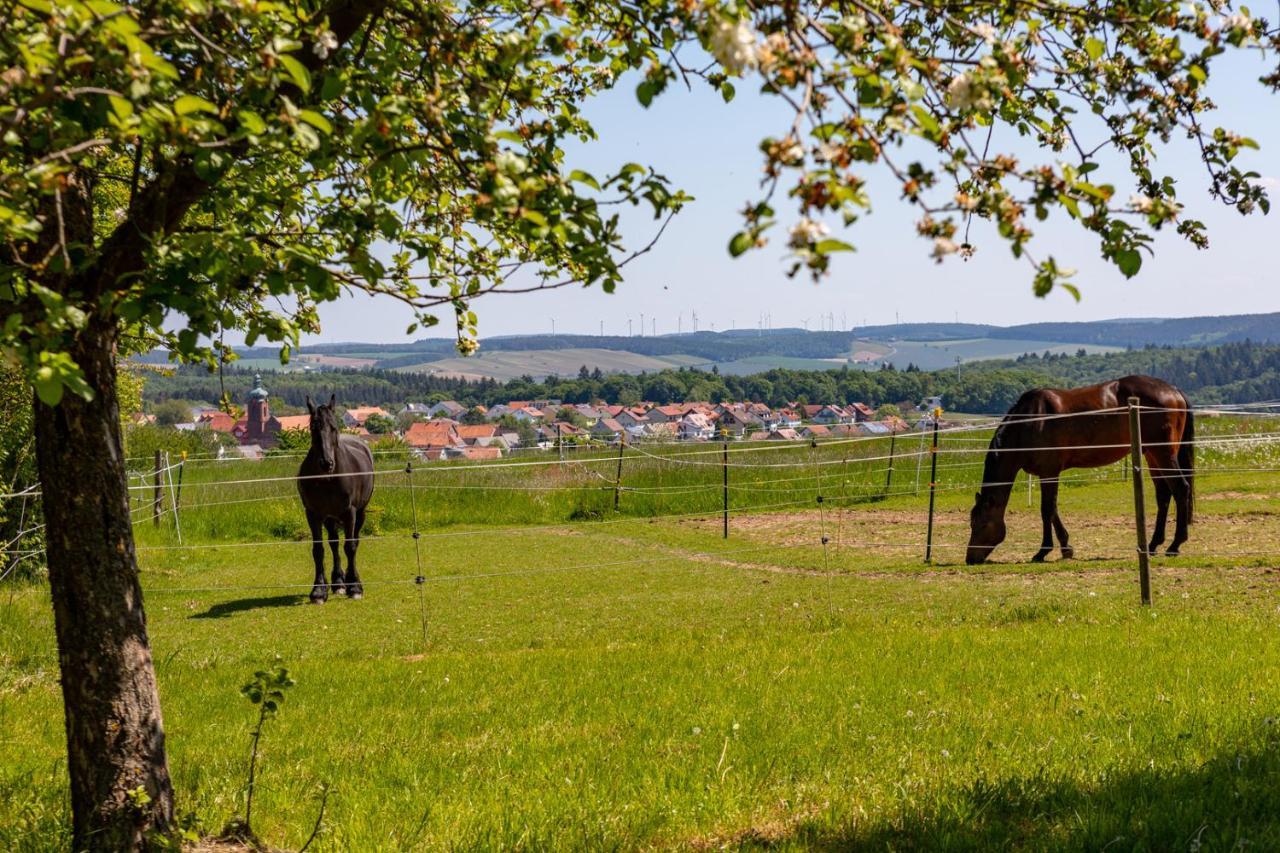 Pferdehof Bischof Appartement Wertheim Buitenkant foto
